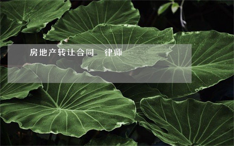 房地产转让合同 律师 房地产转让合同 律师